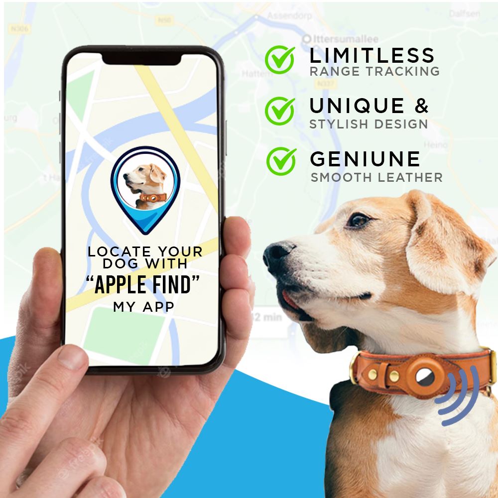 Leather AirTag Collar